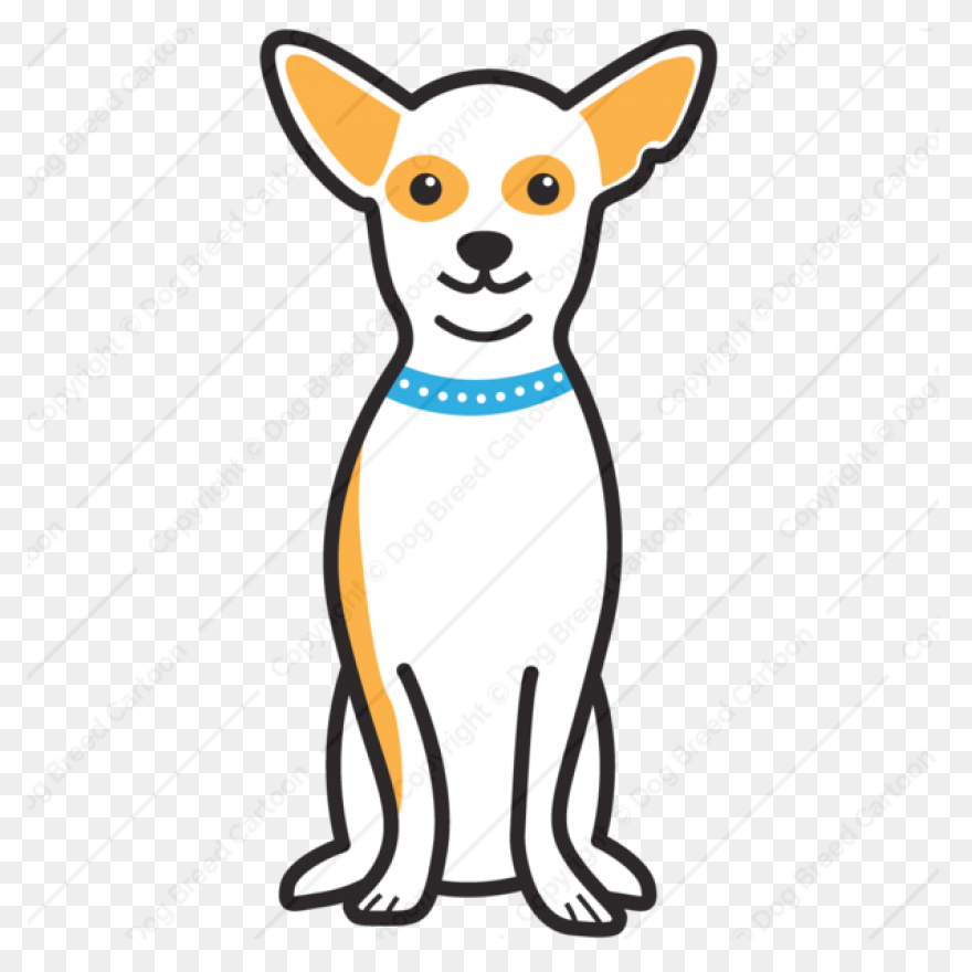 Dog Chihuahua Puppy - Free Image On