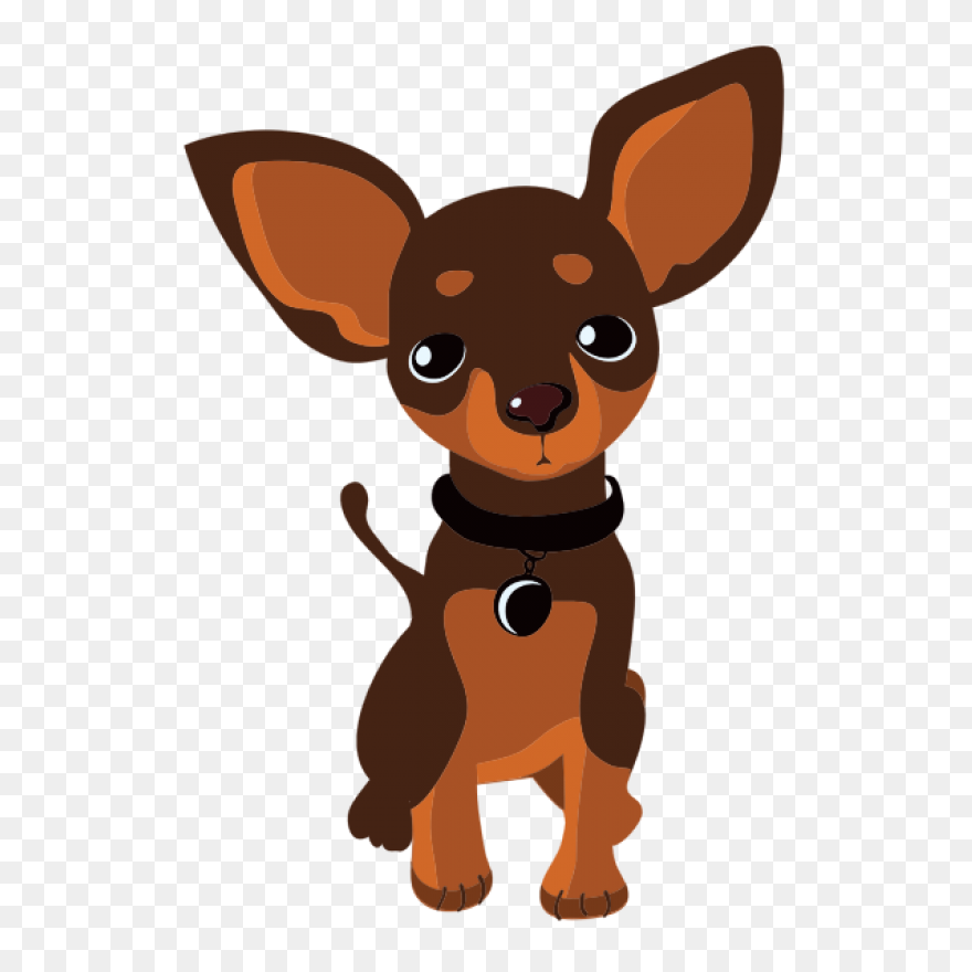 Chihuahua By Badre44 | Free - Chihuahua