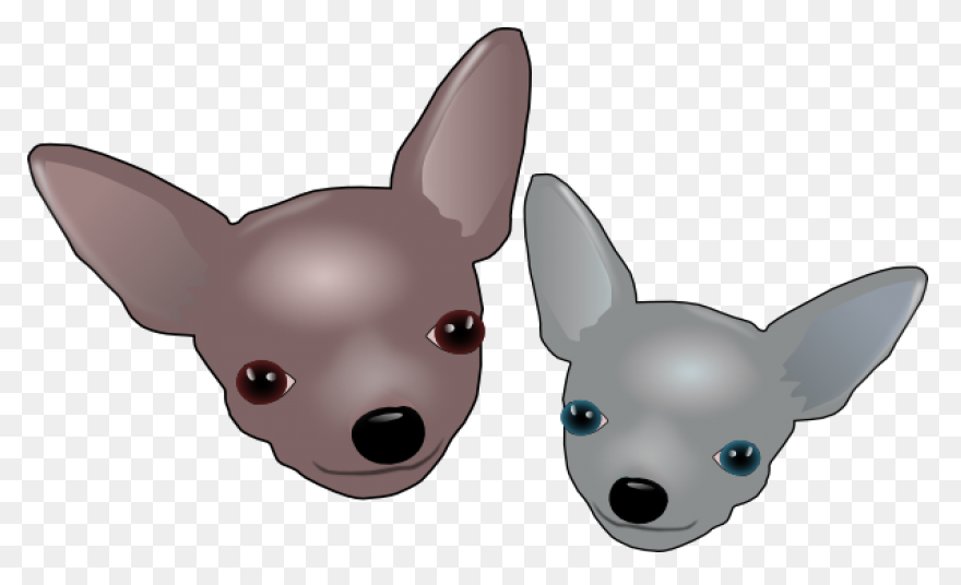 Dog Chihuahua Puppy - Free Image On