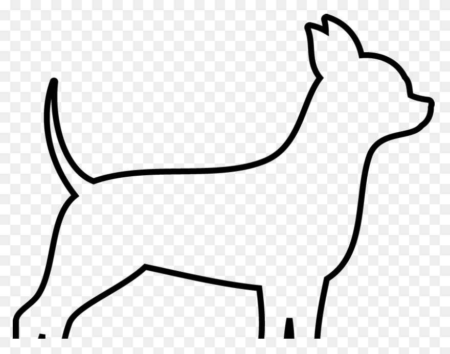 Dog Chihuahua Puppy - Free Image On
