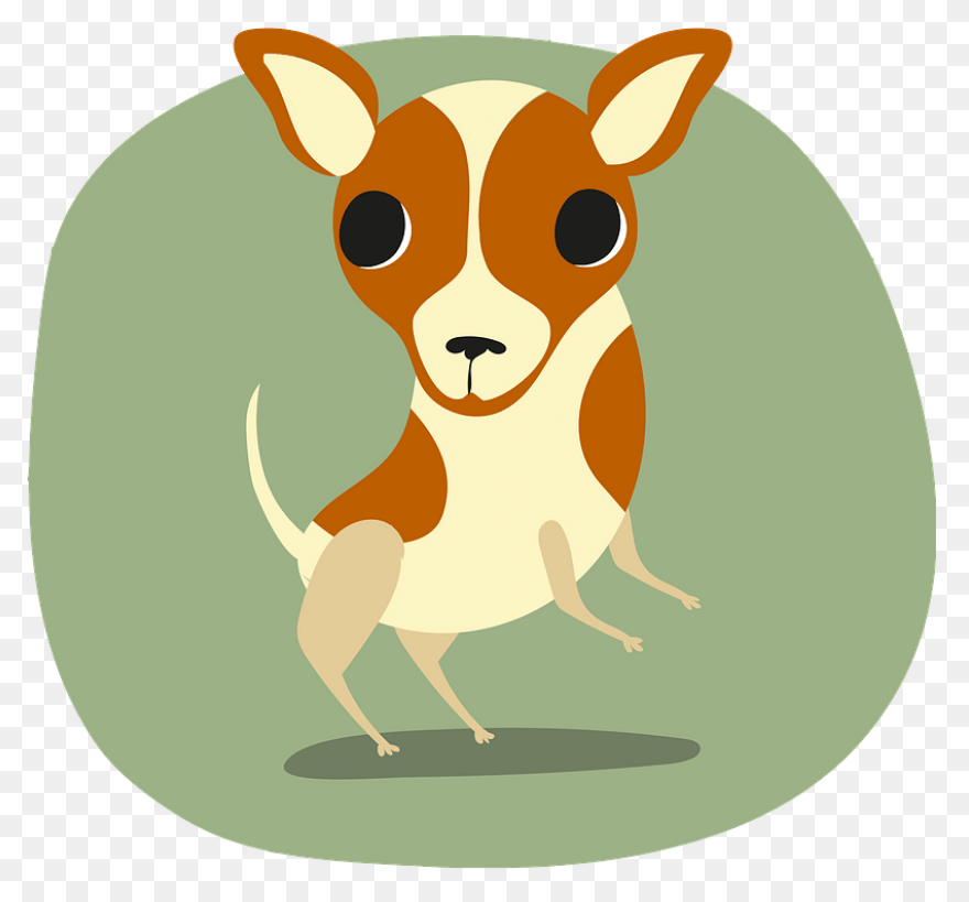 Dog Chihuahua Puppy - Free Image On