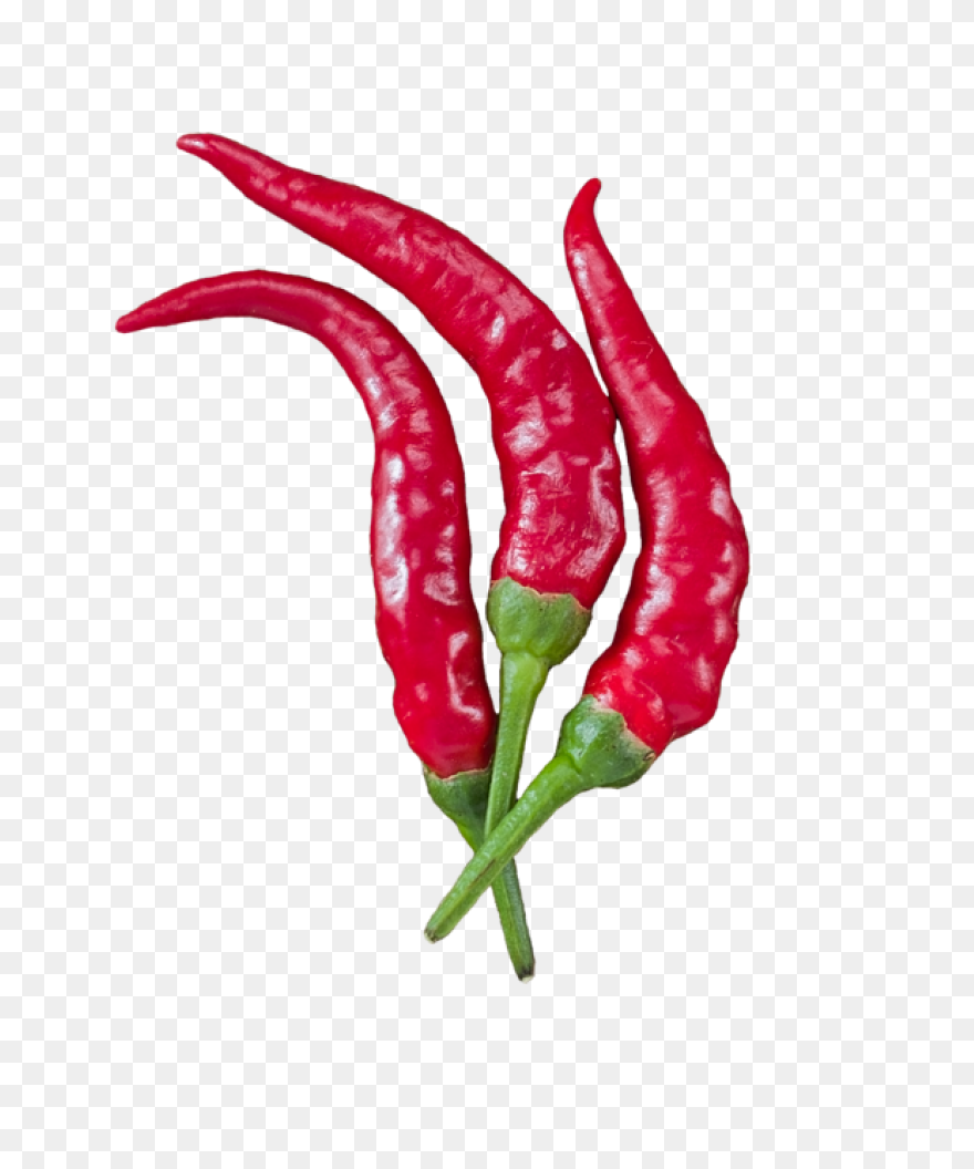 Chili Pepper | Free PNG-WebP