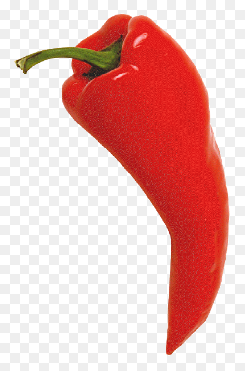 Chili Pepper | Free PNG-WebP