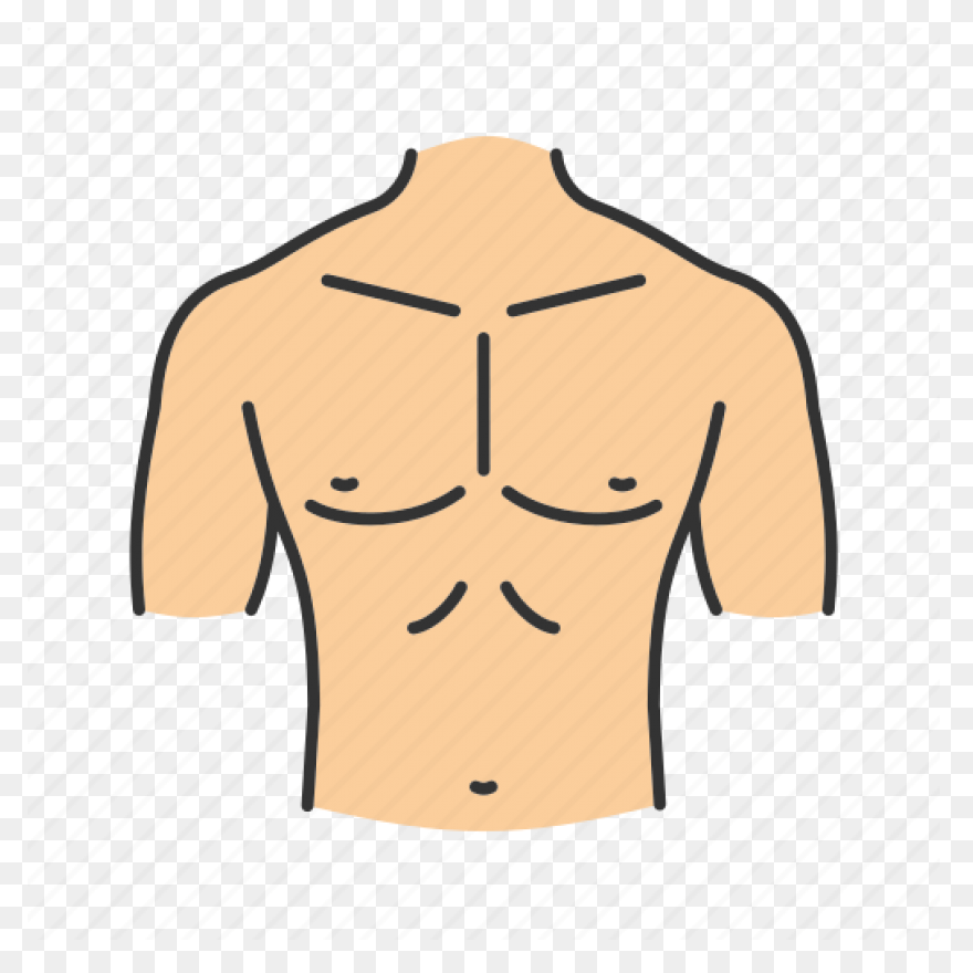 Free Chest Cliparts, Download Free 