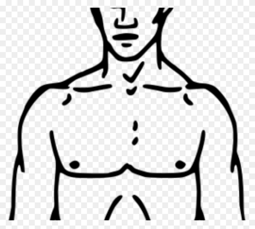 Free Chest Cliparts, Download Free 