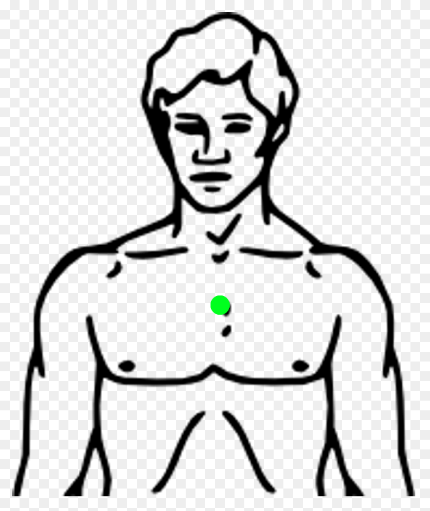 Free Chest Cliparts, Download Free 