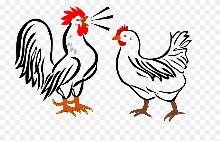 Chicken - For Delivery — Hot Tama