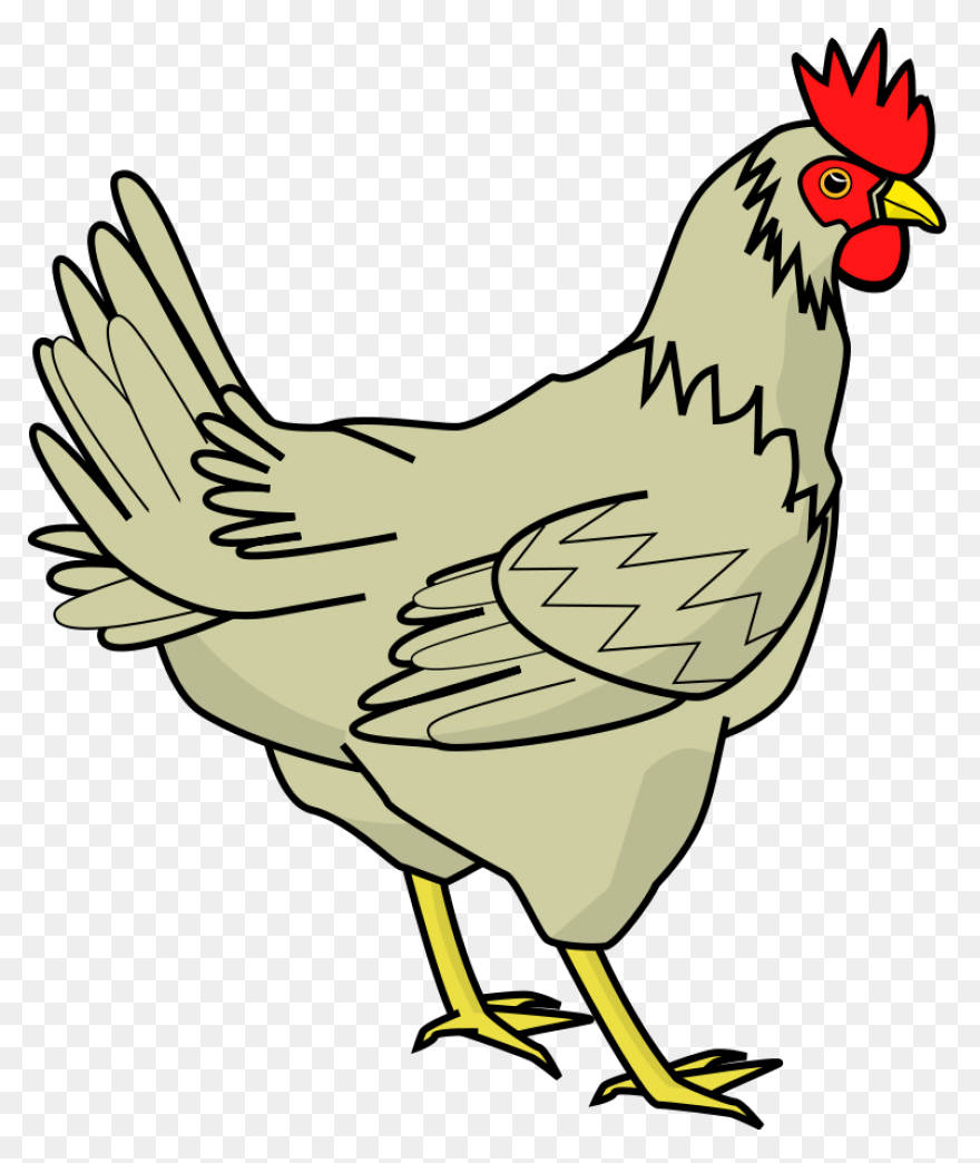 Chicken - For Delivery — Hot Tama