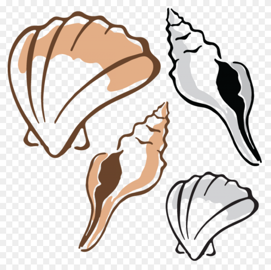 Clam Clipart Clipart Shells | - Clam