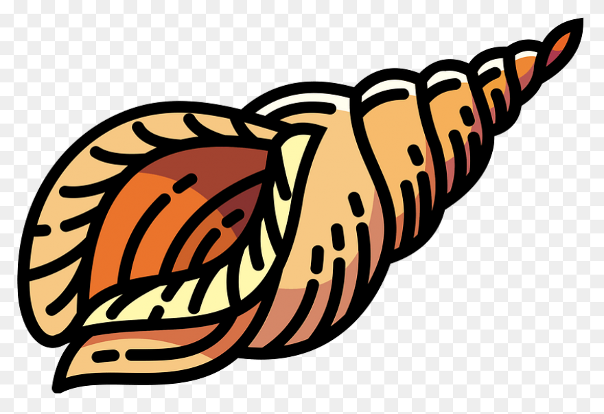 Clam Clipart - Clipart Shells | Ful