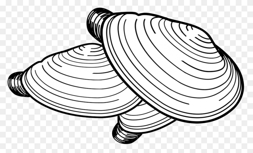 Clam Clipart - Clipart Shells | Ful