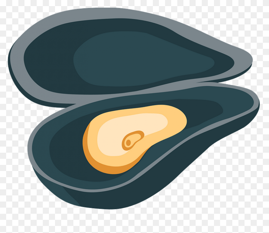 Clam Clipart - Clipart Shells | Ful
