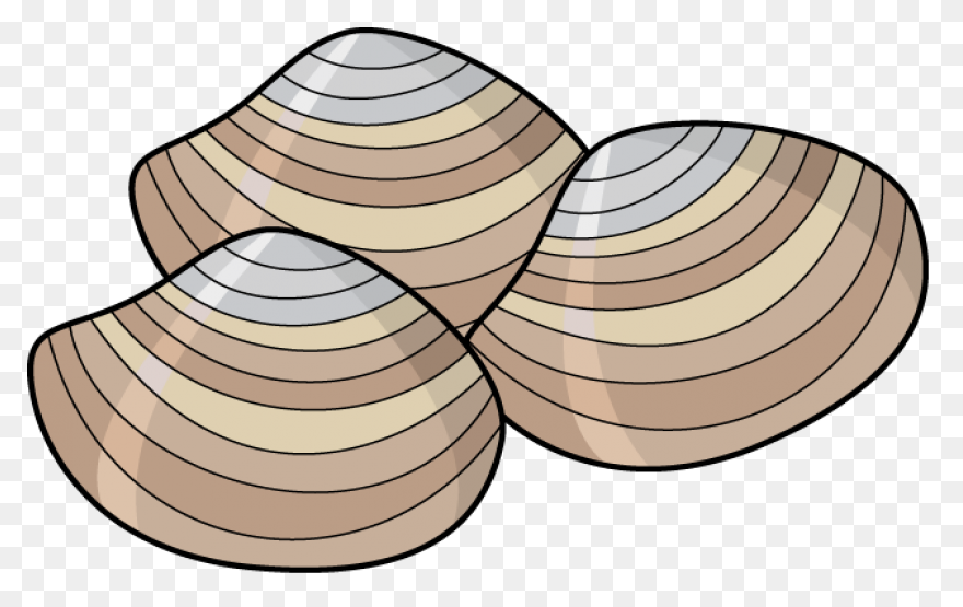 Clam Clipart - Clipart Shells | Ful
