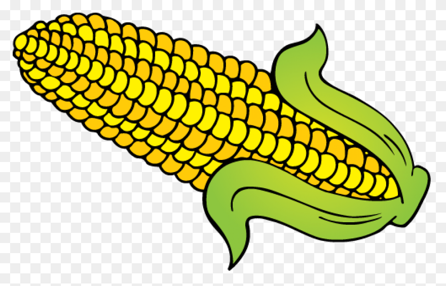 Large Husk Of Golden Corn | Clip Ar