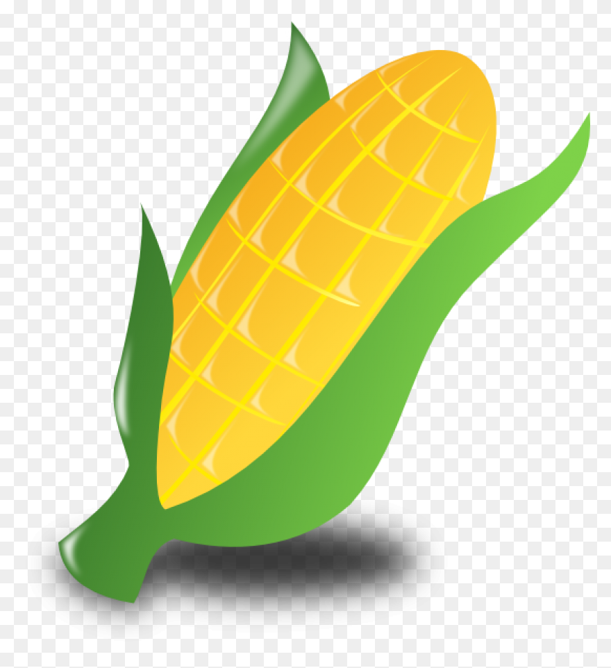 Large Husk Of Golden Corn | Clip Ar