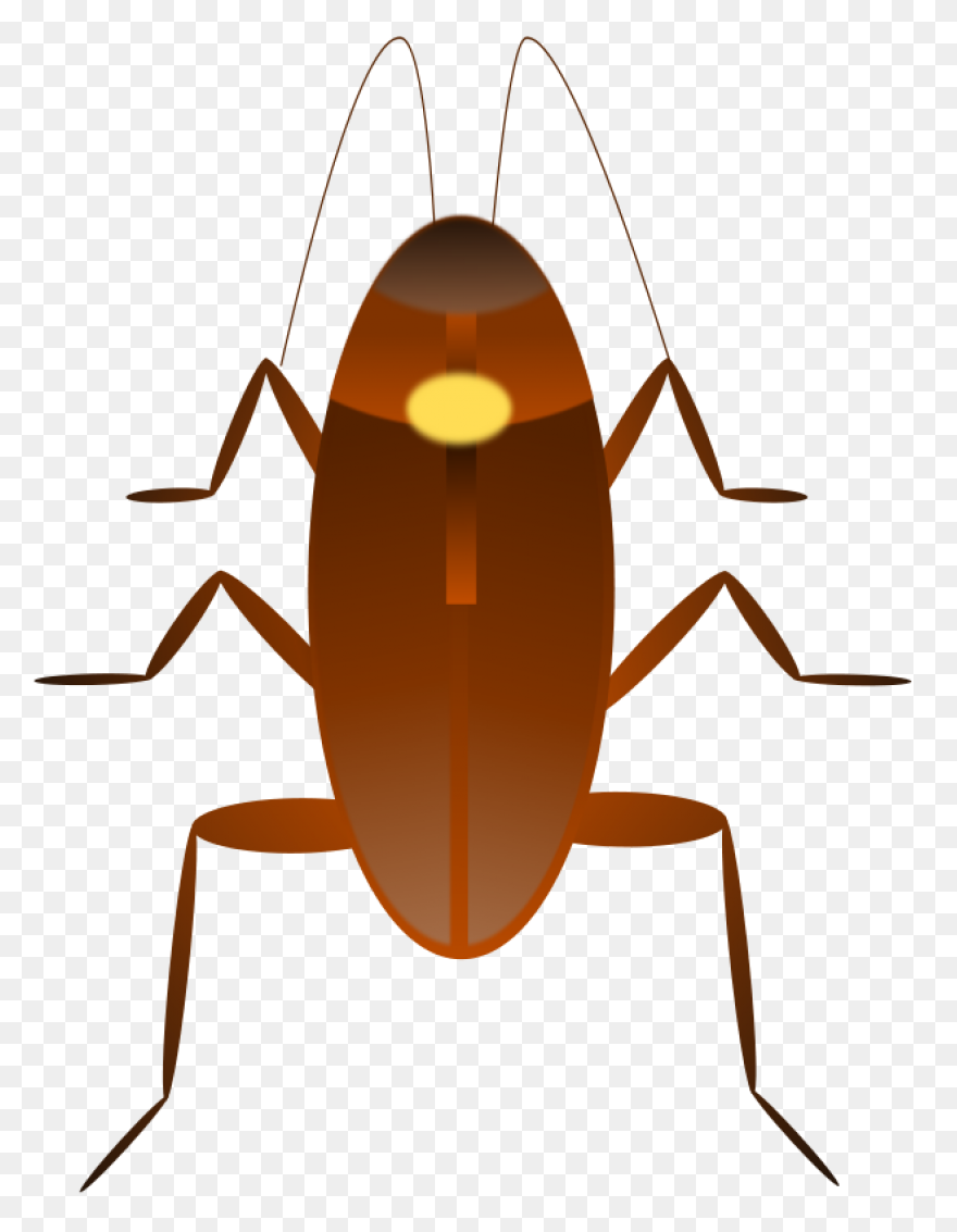 German Cockroach Pest Control And E