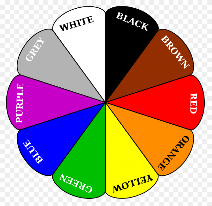 Color Wheel | Free PNG-WebP