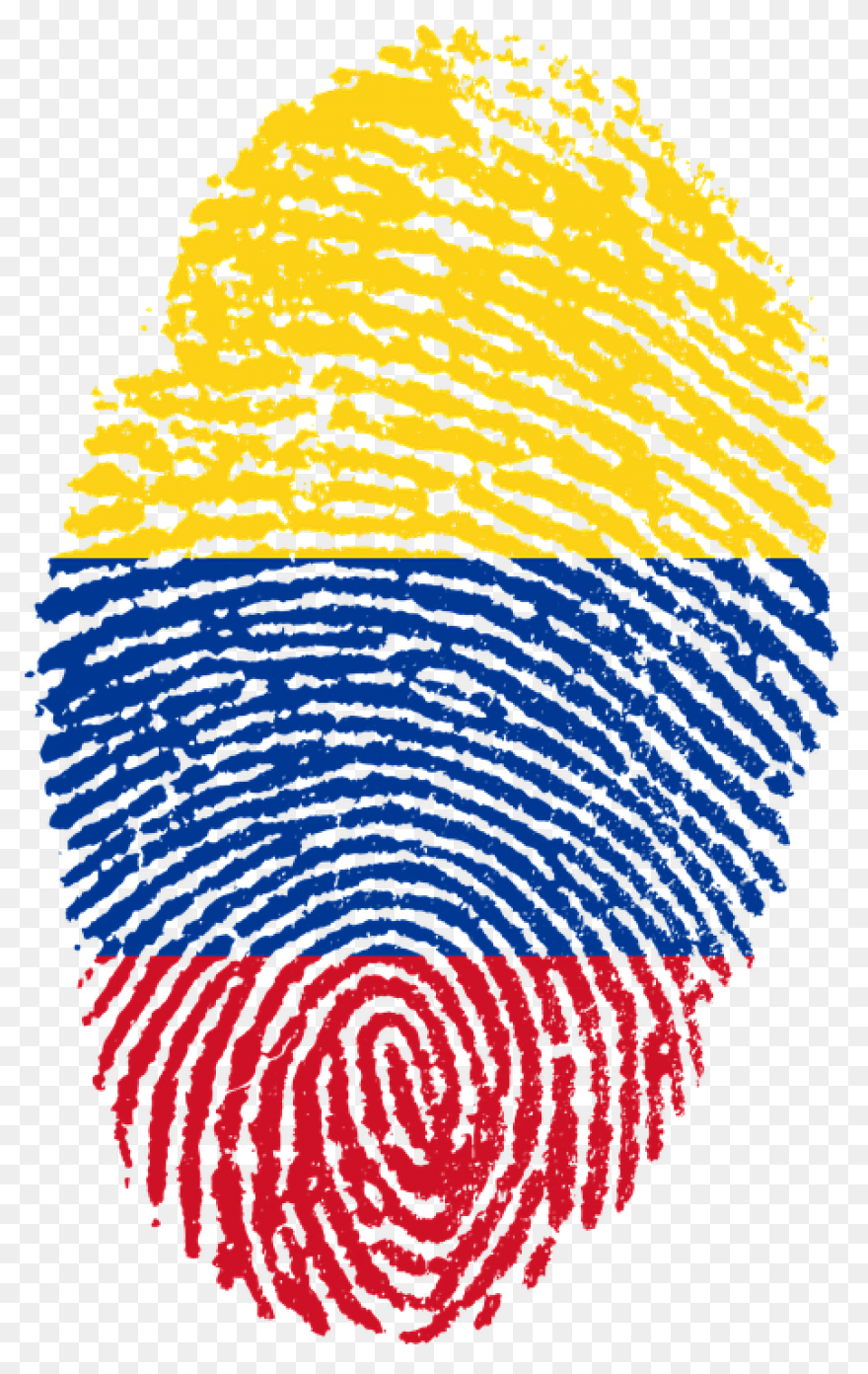 Waving Flag. Illustration Of Flag O