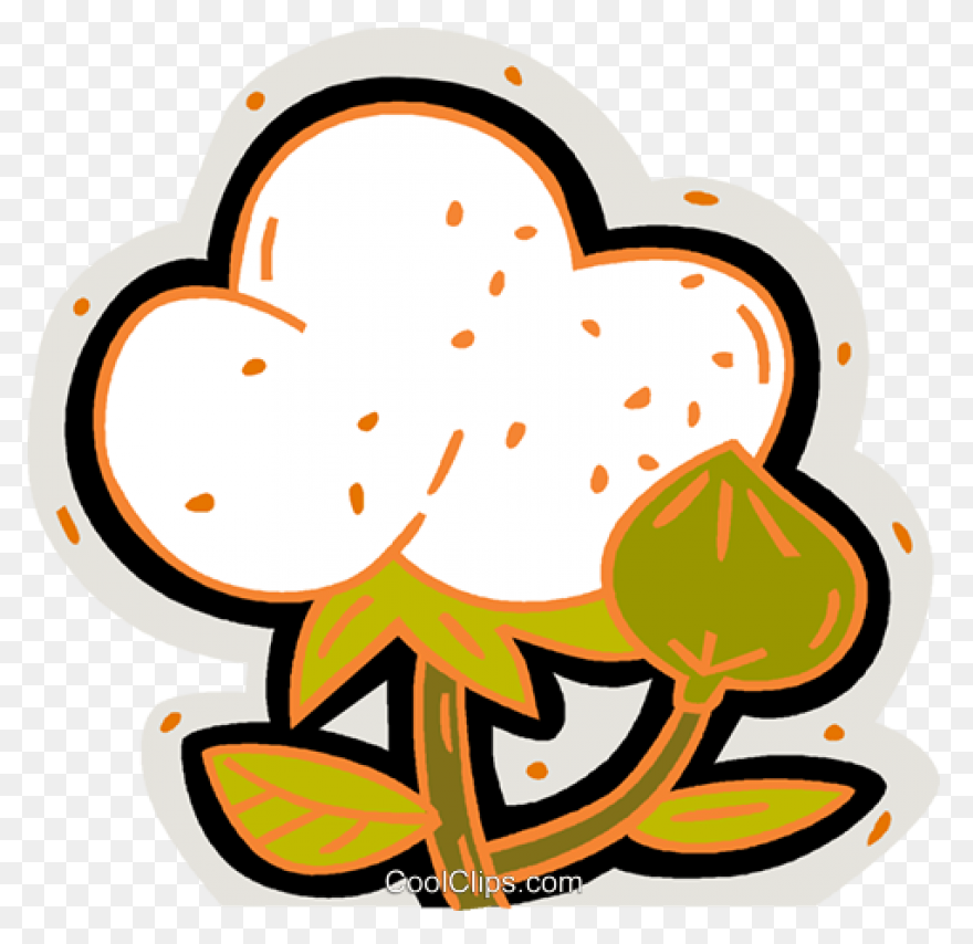 Cotton Plant Royalty Free Vector - Cotton
