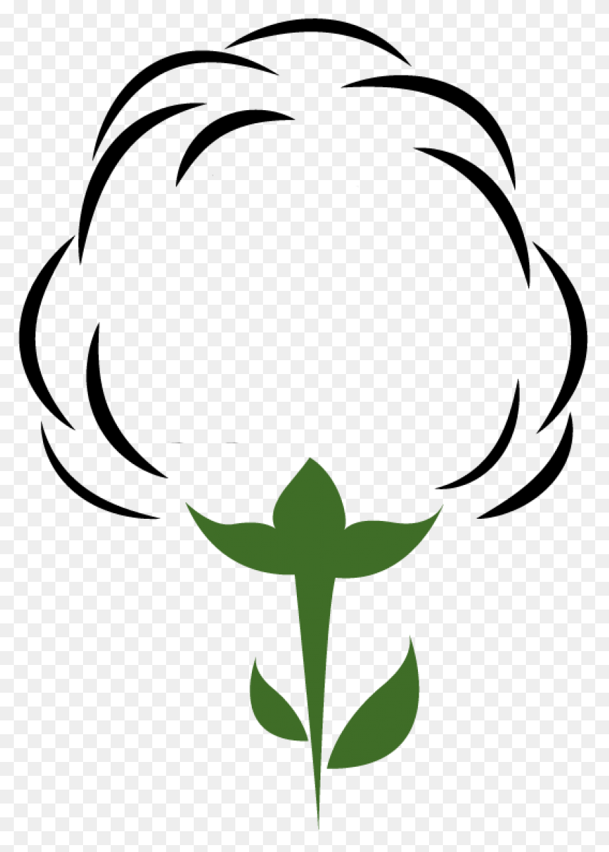 Cotton Plant Royalty Free Vector Cl