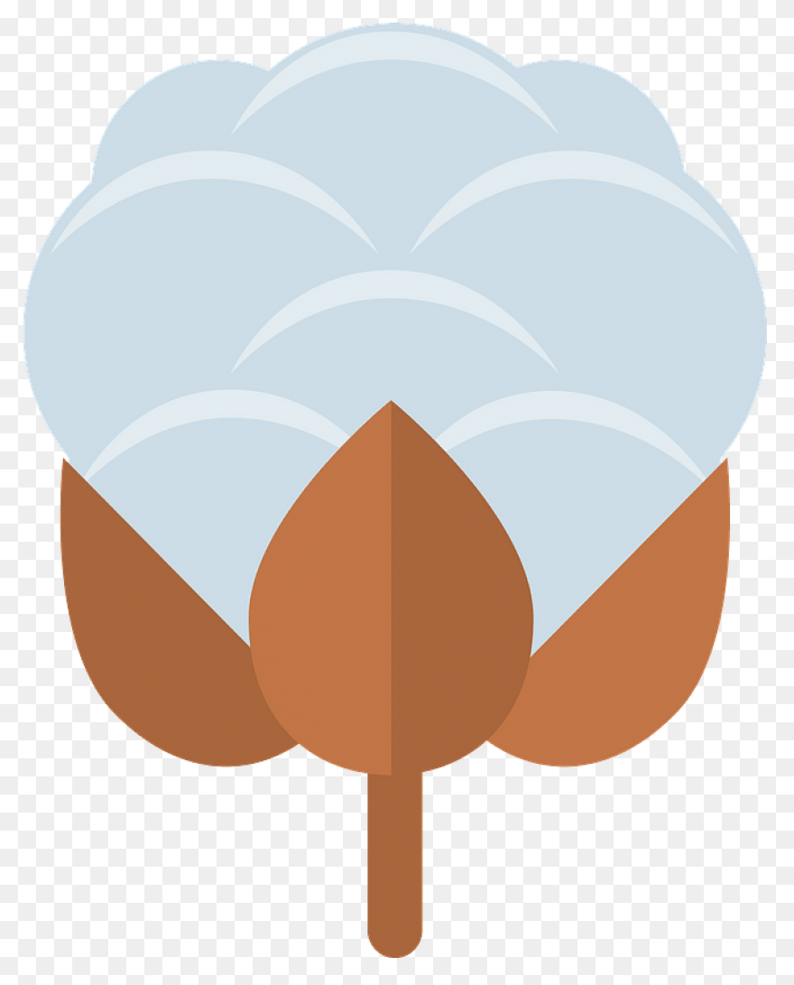 Cotton Plant Royalty Free Vector Cl