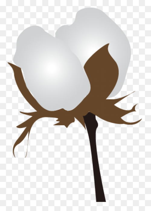 Cotton Plant Royalty Free Vector Cl