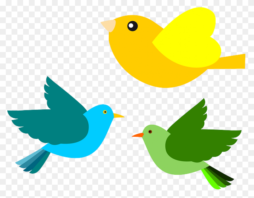 Aves Birds Flying Free Vector - Colorful Flying Birds