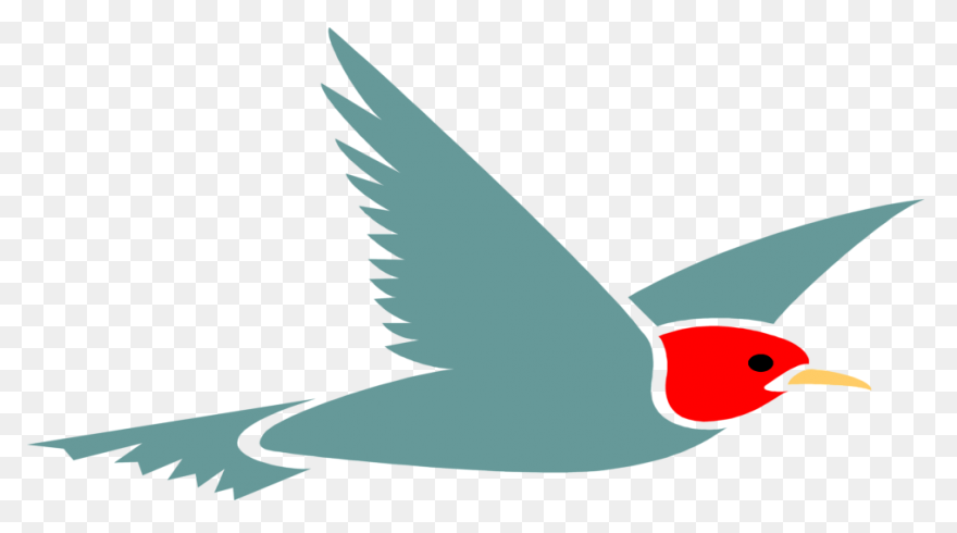 Aves Birds Flying - Free Vector Gra
