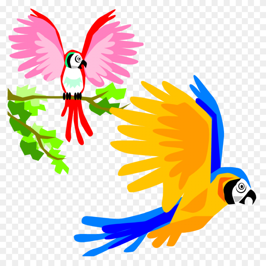 Aves Birds Flying - Free Vector Gra