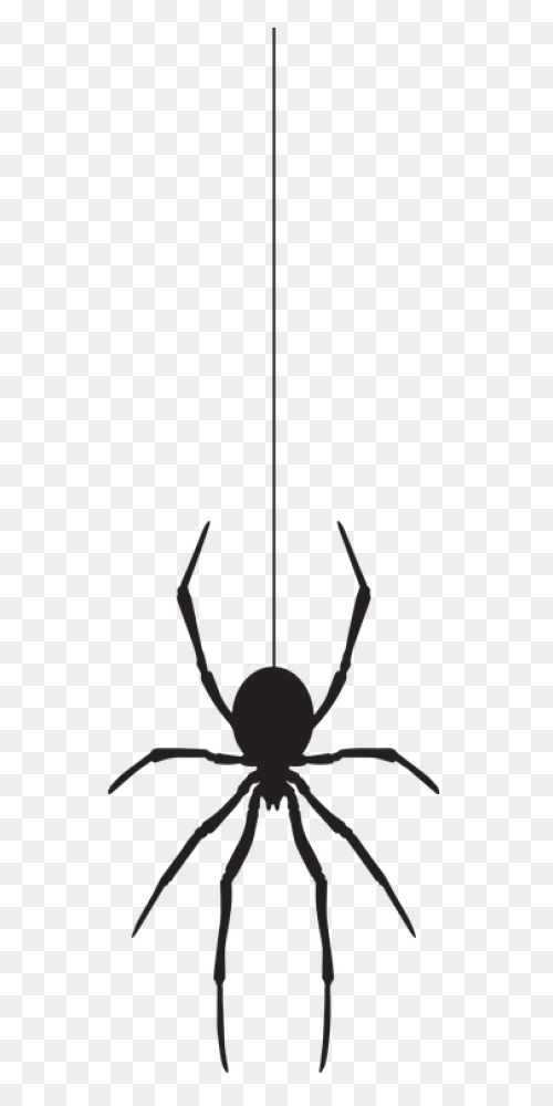 Cobweb, Halloween, Spider Web, Spoo