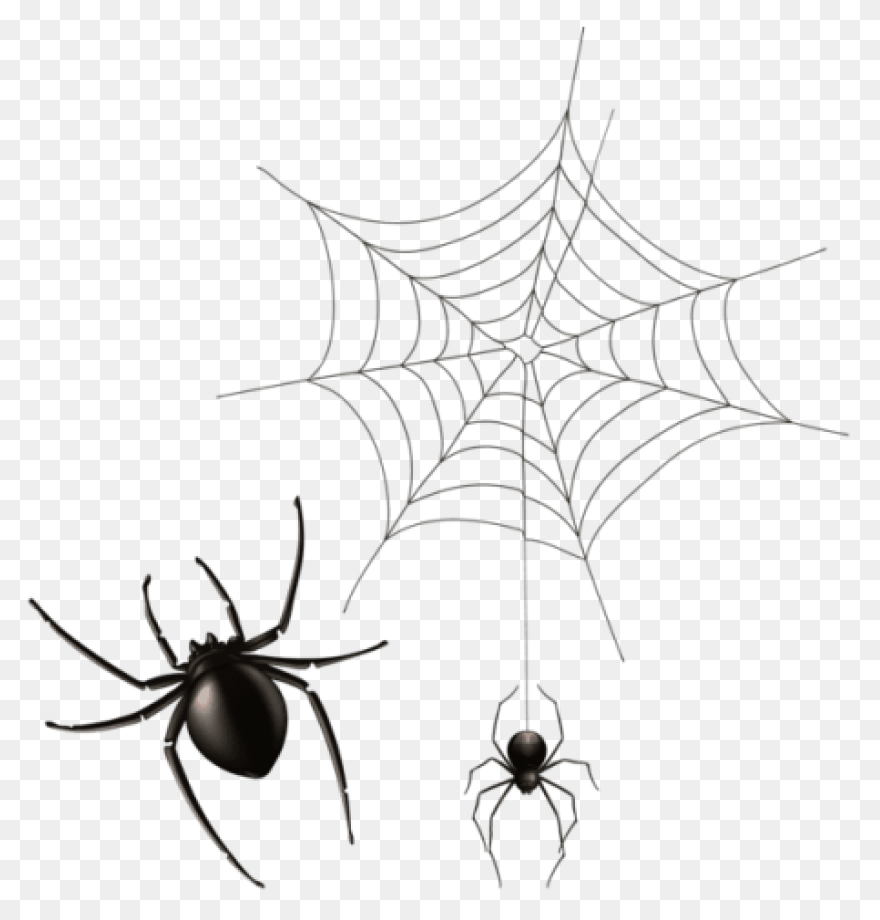 Cobweb, Halloween, Spider Web, Spoo