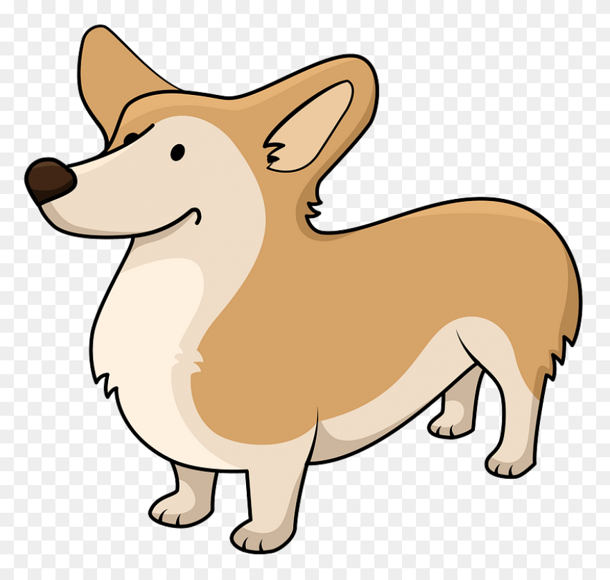 Pembroke Welsh Corgi