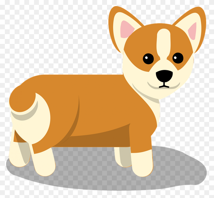 Pembroke Welsh Corgi