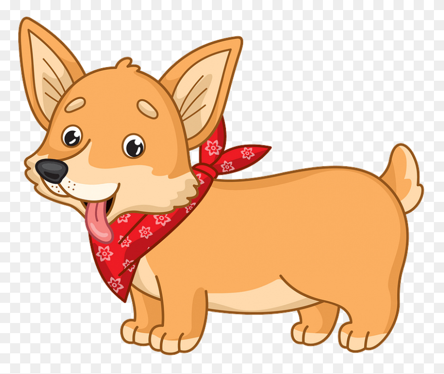 Pembroke Welsh Corgi