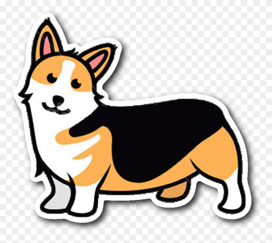 Pembroke Welsh Corgi