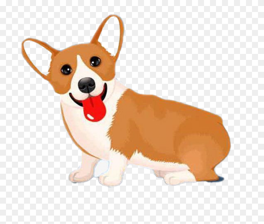Pembroke Welsh Corgi