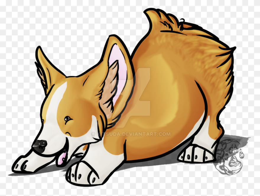 Pembroke Welsh Corgi