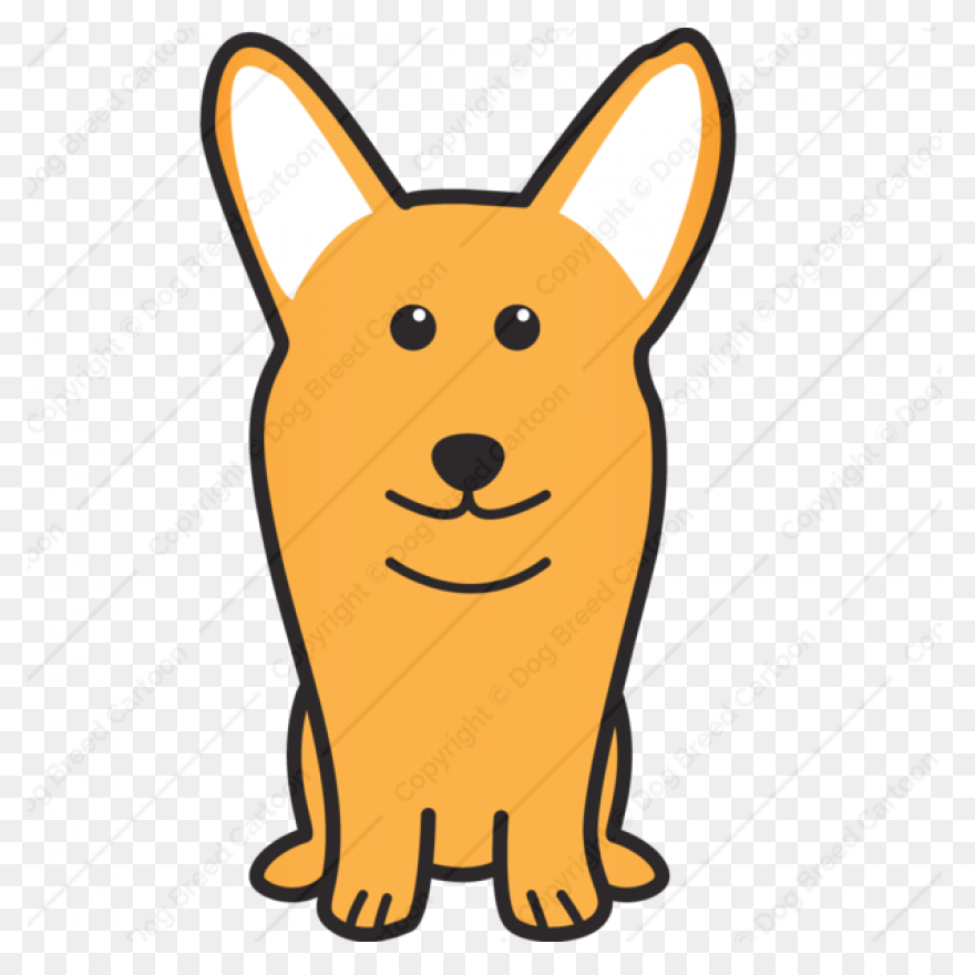 Pembroke Welsh Corgi - Corgi