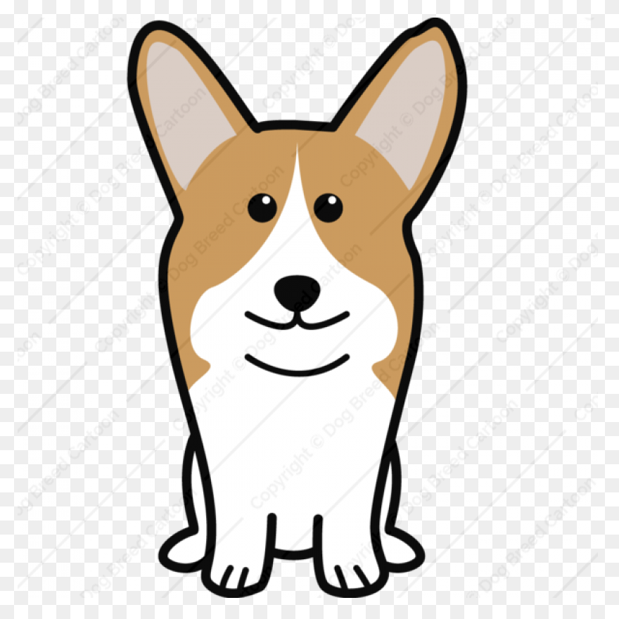 Pembroke Welsh Corgi