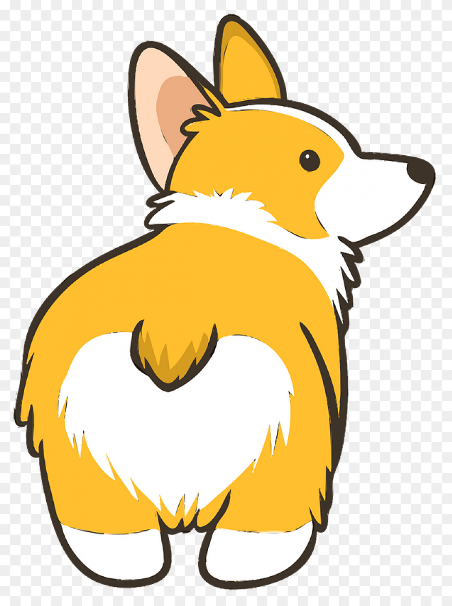 Pembroke Welsh Corgi