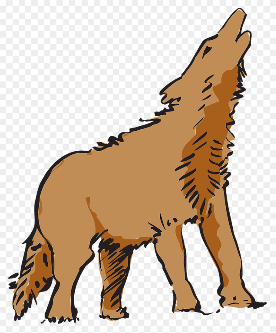 Animals Clip Art By Phillip Martin,