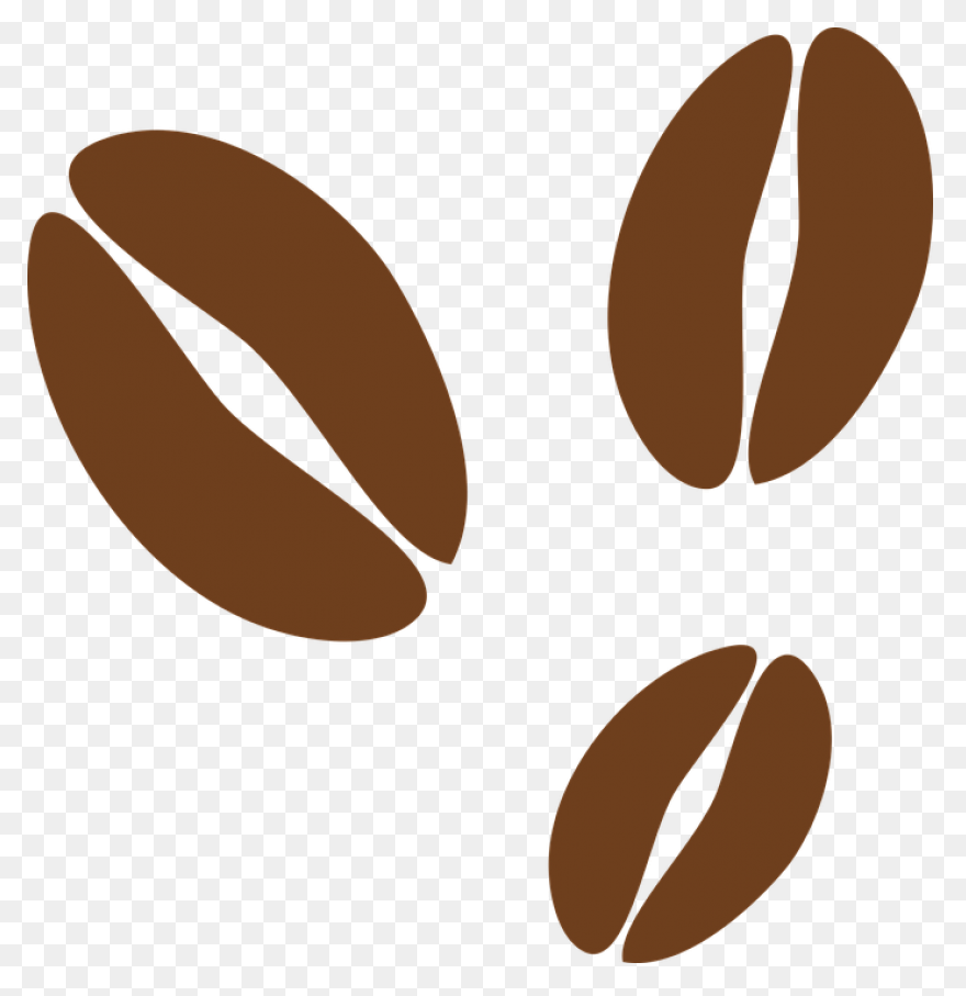Coffee Bean Vector Image In Color |