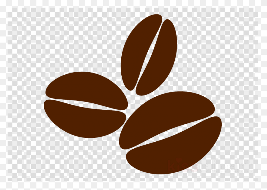 Coffee Bean Vector Image In Color |