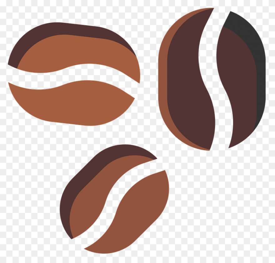 Coffee Bean Vector Image In Color |