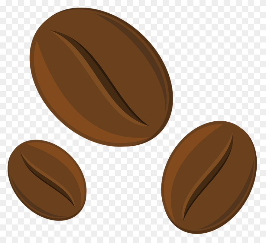 Coffee Bean Vector Image In Color |