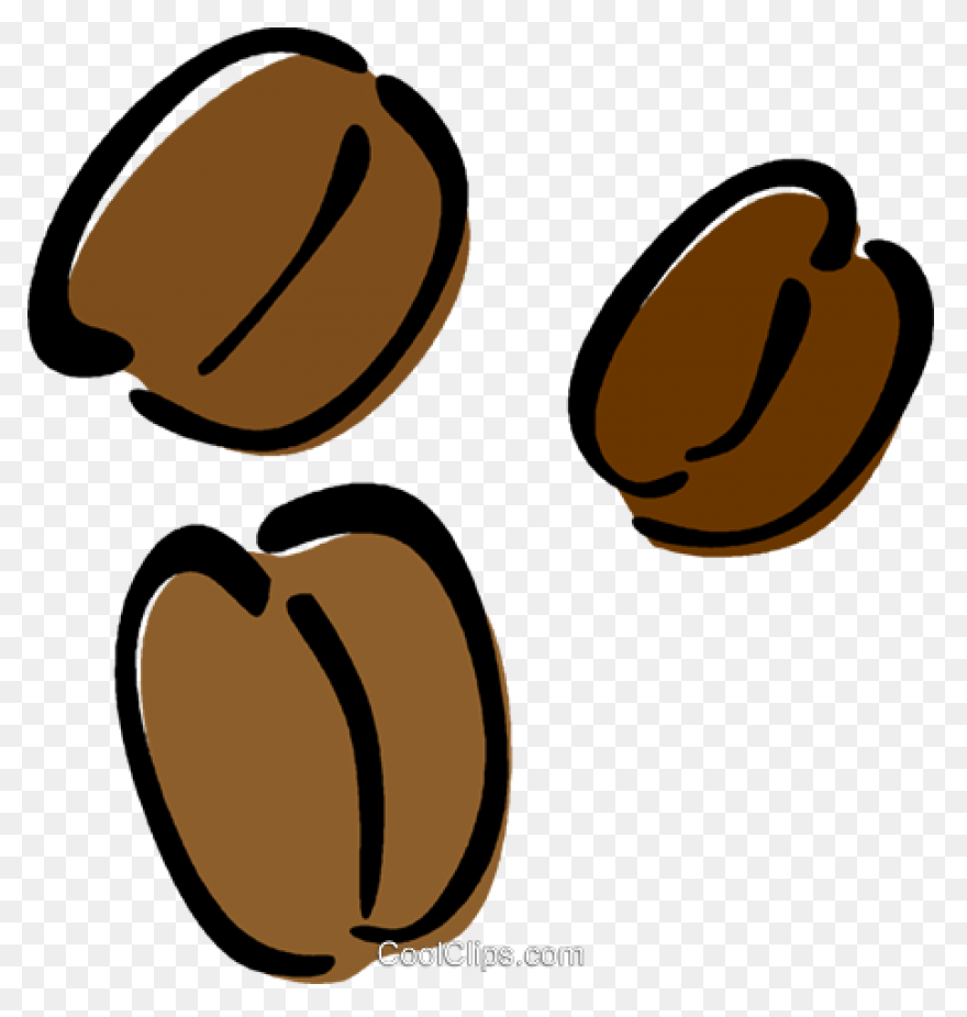 Coffee Bean Clipart - White Coffee 