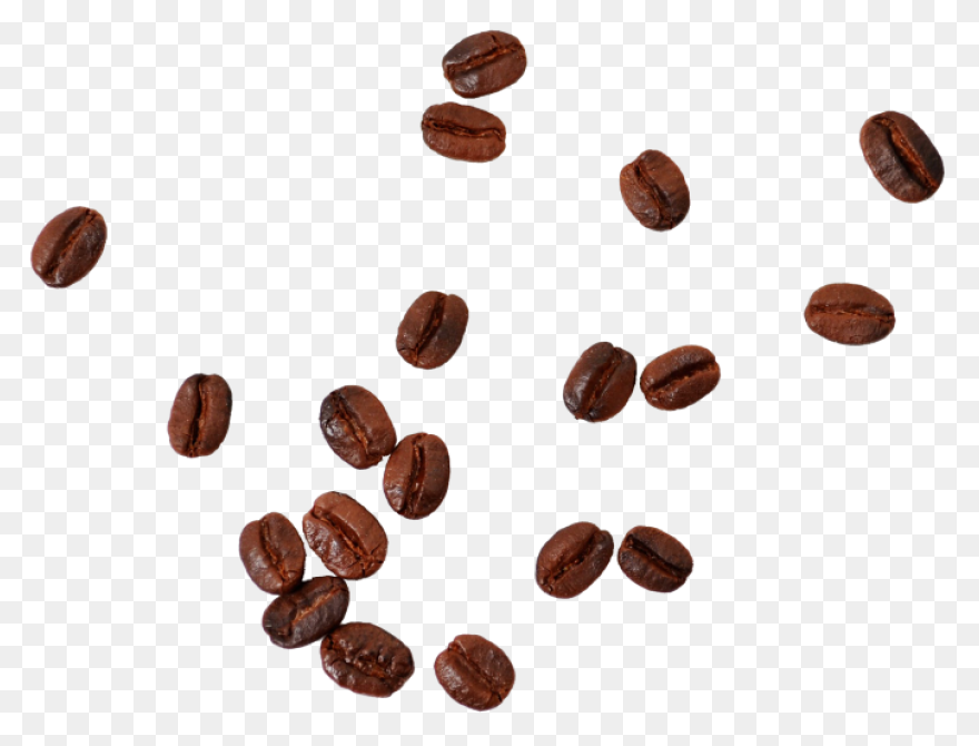Coffee Bean Clipart - White Coffee 