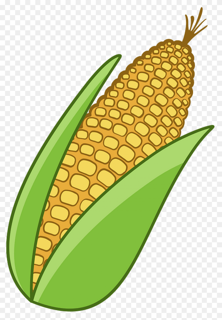 Free Corn Stalk Clipart, Download F