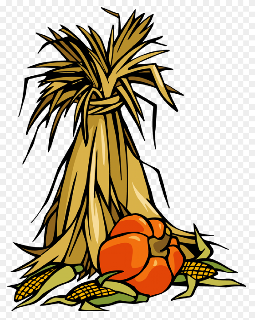 Free Corn Stalk Clipart Download - Corn Stalk