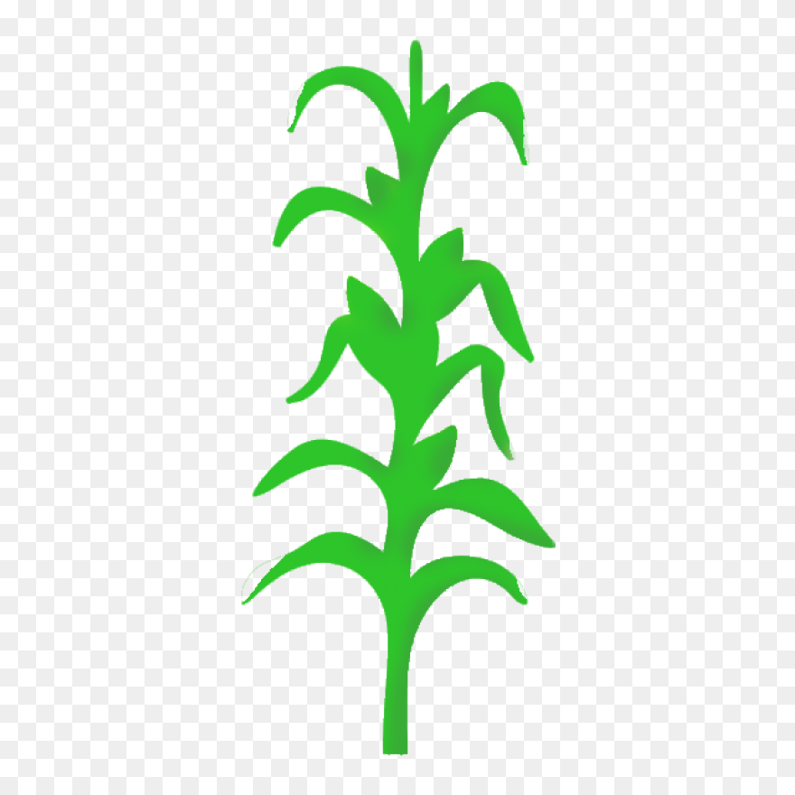 Free Corn Stalk Clipart, Download F